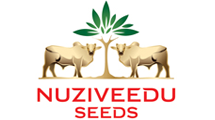 Vegetable Provider Logo
